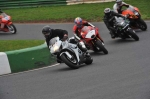 Mallory-park-Leicestershire;Mallory-park-photographs;Motorcycle-action-photographs;event-digital-images;eventdigitalimages;mallory-park;no-limits-trackday;peter-wileman-photography;trackday;trackday-digital-images;trackday-photos