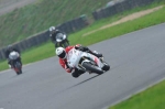 Mallory-park-Leicestershire;Mallory-park-photographs;Motorcycle-action-photographs;event-digital-images;eventdigitalimages;mallory-park;no-limits-trackday;peter-wileman-photography;trackday;trackday-digital-images;trackday-photos