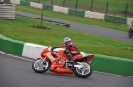 Mallory-park-Leicestershire;Mallory-park-photographs;Motorcycle-action-photographs;event-digital-images;eventdigitalimages;mallory-park;no-limits-trackday;peter-wileman-photography;trackday;trackday-digital-images;trackday-photos