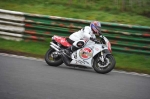 Mallory-park-Leicestershire;Mallory-park-photographs;Motorcycle-action-photographs;event-digital-images;eventdigitalimages;mallory-park;no-limits-trackday;peter-wileman-photography;trackday;trackday-digital-images;trackday-photos