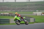 Mallory-park-Leicestershire;Mallory-park-photographs;Motorcycle-action-photographs;event-digital-images;eventdigitalimages;mallory-park;no-limits-trackday;peter-wileman-photography;trackday;trackday-digital-images;trackday-photos