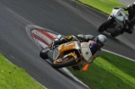 Motorcycle-action-photographs;Trackday-digital-images;cadwell;cadwell-park-photographs;event-digital-images;eventdigitalimages;motor-racing-louth-lincolnshire;no-limits-trackdays;peter-wileman-photography;trackday;trackday-photos