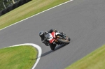 Motorcycle-action-photographs;Trackday-digital-images;cadwell;cadwell-park-photographs;event-digital-images;eventdigitalimages;motor-racing-louth-lincolnshire;no-limits-trackdays;peter-wileman-photography;trackday;trackday-photos