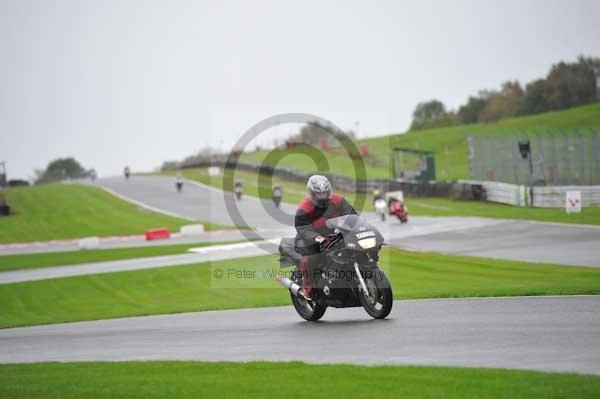 Motorcycle action photographs;Trackday digital images;event digital images;eventdigitalimages;no limits trackday;oulton park;oulton park circuit cheshire;oulton park photographs;peter wileman photography;trackday;trackday photos