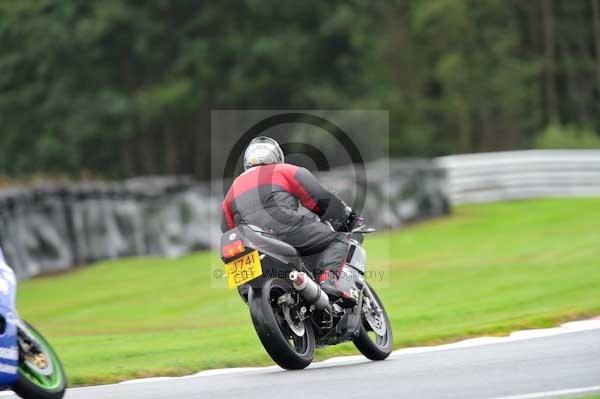 Motorcycle action photographs;Trackday digital images;event digital images;eventdigitalimages;no limits trackday;oulton park;oulton park circuit cheshire;oulton park photographs;peter wileman photography;trackday;trackday photos