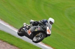 Motorcycle-action-photographs;Trackday-digital-images;event-digital-images;eventdigitalimages;no-limits-trackday;oulton-park;oulton-park-circuit-cheshire;oulton-park-photographs;peter-wileman-photography;trackday;trackday-photos