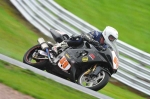 Motorcycle-action-photographs;Trackday-digital-images;event-digital-images;eventdigitalimages;no-limits-trackday;oulton-park;oulton-park-circuit-cheshire;oulton-park-photographs;peter-wileman-photography;trackday;trackday-photos