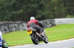 Motorcycle-action-photographs;Trackday-digital-images;event-digital-images;eventdigitalimages;no-limits-trackday;oulton-park;oulton-park-circuit-cheshire;oulton-park-photographs;peter-wileman-photography;trackday;trackday-photos