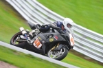 Motorcycle-action-photographs;Trackday-digital-images;event-digital-images;eventdigitalimages;no-limits-trackday;oulton-park;oulton-park-circuit-cheshire;oulton-park-photographs;peter-wileman-photography;trackday;trackday-photos