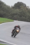 Motorcycle-action-photographs;Trackday-digital-images;event-digital-images;eventdigitalimages;no-limits-trackday;oulton-park;oulton-park-circuit-cheshire;oulton-park-photographs;peter-wileman-photography;trackday;trackday-photos