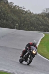 Motorcycle-action-photographs;Trackday-digital-images;event-digital-images;eventdigitalimages;no-limits-trackday;oulton-park;oulton-park-circuit-cheshire;oulton-park-photographs;peter-wileman-photography;trackday;trackday-photos