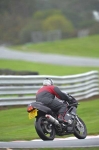 Motorcycle-action-photographs;Trackday-digital-images;event-digital-images;eventdigitalimages;no-limits-trackday;oulton-park;oulton-park-circuit-cheshire;oulton-park-photographs;peter-wileman-photography;trackday;trackday-photos