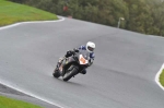 Motorcycle-action-photographs;Trackday-digital-images;event-digital-images;eventdigitalimages;no-limits-trackday;oulton-park;oulton-park-circuit-cheshire;oulton-park-photographs;peter-wileman-photography;trackday;trackday-photos