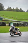 Motorcycle-action-photographs;Trackday-digital-images;event-digital-images;eventdigitalimages;no-limits-trackday;oulton-park;oulton-park-circuit-cheshire;oulton-park-photographs;peter-wileman-photography;trackday;trackday-photos