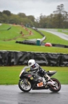 Motorcycle-action-photographs;Trackday-digital-images;event-digital-images;eventdigitalimages;no-limits-trackday;oulton-park;oulton-park-circuit-cheshire;oulton-park-photographs;peter-wileman-photography;trackday;trackday-photos