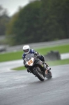 Motorcycle-action-photographs;Trackday-digital-images;event-digital-images;eventdigitalimages;no-limits-trackday;oulton-park;oulton-park-circuit-cheshire;oulton-park-photographs;peter-wileman-photography;trackday;trackday-photos