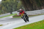 Motorcycle-action-photographs;Trackday-digital-images;event-digital-images;eventdigitalimages;no-limits-trackday;oulton-park;oulton-park-circuit-cheshire;oulton-park-photographs;peter-wileman-photography;trackday;trackday-photos