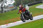 Motorcycle-action-photographs;Trackday-digital-images;event-digital-images;eventdigitalimages;no-limits-trackday;oulton-park;oulton-park-circuit-cheshire;oulton-park-photographs;peter-wileman-photography;trackday;trackday-photos