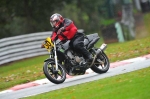 Motorcycle-action-photographs;Trackday-digital-images;event-digital-images;eventdigitalimages;no-limits-trackday;oulton-park;oulton-park-circuit-cheshire;oulton-park-photographs;peter-wileman-photography;trackday;trackday-photos