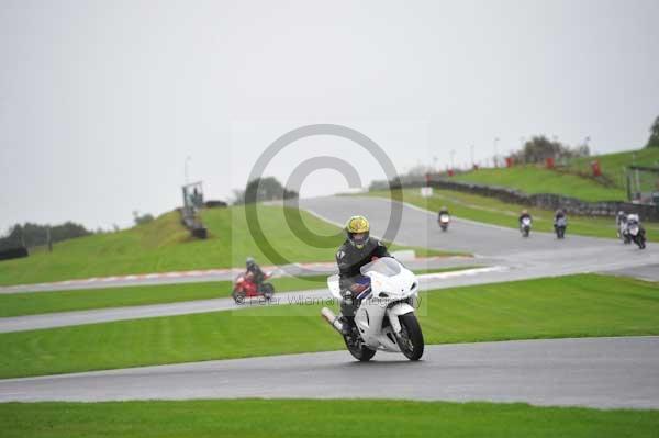 Motorcycle action photographs;Trackday digital images;event digital images;eventdigitalimages;no limits trackday;oulton park;oulton park circuit cheshire;oulton park photographs;peter wileman photography;trackday;trackday photos