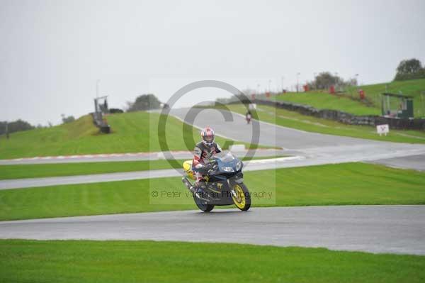 Motorcycle action photographs;Trackday digital images;event digital images;eventdigitalimages;no limits trackday;oulton park;oulton park circuit cheshire;oulton park photographs;peter wileman photography;trackday;trackday photos