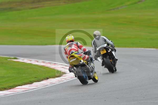 Motorcycle action photographs;Trackday digital images;event digital images;eventdigitalimages;no limits trackday;oulton park;oulton park circuit cheshire;oulton park photographs;peter wileman photography;trackday;trackday photos