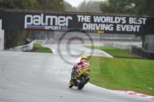 Motorcycle action photographs;Trackday digital images;event digital images;eventdigitalimages;no limits trackday;oulton park;oulton park circuit cheshire;oulton park photographs;peter wileman photography;trackday;trackday photos