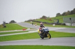 Motorcycle-action-photographs;Trackday-digital-images;event-digital-images;eventdigitalimages;no-limits-trackday;oulton-park;oulton-park-circuit-cheshire;oulton-park-photographs;peter-wileman-photography;trackday;trackday-photos