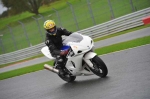 Motorcycle-action-photographs;Trackday-digital-images;event-digital-images;eventdigitalimages;no-limits-trackday;oulton-park;oulton-park-circuit-cheshire;oulton-park-photographs;peter-wileman-photography;trackday;trackday-photos