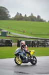 Motorcycle-action-photographs;Trackday-digital-images;event-digital-images;eventdigitalimages;no-limits-trackday;oulton-park;oulton-park-circuit-cheshire;oulton-park-photographs;peter-wileman-photography;trackday;trackday-photos