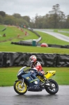 Motorcycle-action-photographs;Trackday-digital-images;event-digital-images;eventdigitalimages;no-limits-trackday;oulton-park;oulton-park-circuit-cheshire;oulton-park-photographs;peter-wileman-photography;trackday;trackday-photos