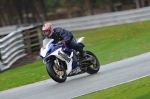 Motorcycle-action-photographs;Trackday-digital-images;event-digital-images;eventdigitalimages;no-limits-trackday;oulton-park;oulton-park-circuit-cheshire;oulton-park-photographs;peter-wileman-photography;trackday;trackday-photos