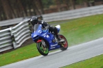 Motorcycle-action-photographs;Trackday-digital-images;event-digital-images;eventdigitalimages;no-limits-trackday;oulton-park;oulton-park-circuit-cheshire;oulton-park-photographs;peter-wileman-photography;trackday;trackday-photos