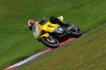 Motorcycle-action-photographs;cadwell;cadwell-park-photographs;event-digital-images;eventdigitalimages;motor-racing-louth-lincolnshire;no-limits-trackday;peter-wileman-photography;trackday;trackday-digital-images;trackday-photos