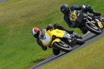 Motorcycle-action-photographs;cadwell;cadwell-park-photographs;event-digital-images;eventdigitalimages;motor-racing-louth-lincolnshire;no-limits-trackday;peter-wileman-photography;trackday;trackday-digital-images;trackday-photos