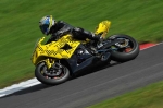 Motorcycle-action-photographs;cadwell;cadwell-park-photographs;event-digital-images;eventdigitalimages;motor-racing-louth-lincolnshire;no-limits-trackday;peter-wileman-photography;trackday;trackday-digital-images;trackday-photos