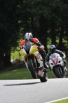 Motorcycle-action-photographs;cadwell;cadwell-park-photographs;event-digital-images;eventdigitalimages;motor-racing-louth-lincolnshire;no-limits-trackday;peter-wileman-photography;trackday;trackday-digital-images;trackday-photos