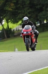 Motorcycle-action-photographs;cadwell;cadwell-park-photographs;event-digital-images;eventdigitalimages;motor-racing-louth-lincolnshire;no-limits-trackday;peter-wileman-photography;trackday;trackday-digital-images;trackday-photos