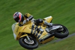 Motorcycle-action-photographs;cadwell;cadwell-park-photographs;event-digital-images;eventdigitalimages;motor-racing-louth-lincolnshire;no-limits-trackday;peter-wileman-photography;trackday;trackday-digital-images;trackday-photos