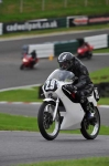 Motorcycle-action-photographs;cadwell;cadwell-park-photographs;event-digital-images;eventdigitalimages;motor-racing-louth-lincolnshire;no-limits-trackday;peter-wileman-photography;trackday;trackday-digital-images;trackday-photos