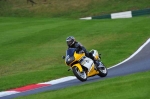 Motorcycle-action-photographs;cadwell;cadwell-park-photographs;event-digital-images;eventdigitalimages;motor-racing-louth-lincolnshire;no-limits-trackday;peter-wileman-photography;trackday;trackday-digital-images;trackday-photos