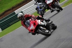 Motorcycle-action-photographs;cadwell;cadwell-park-photographs;event-digital-images;eventdigitalimages;motor-racing-louth-lincolnshire;no-limits-trackday;peter-wileman-photography;trackday;trackday-digital-images;trackday-photos