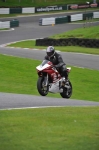 Motorcycle-action-photographs;cadwell;cadwell-park-photographs;event-digital-images;eventdigitalimages;motor-racing-louth-lincolnshire;no-limits-trackday;peter-wileman-photography;trackday;trackday-digital-images;trackday-photos