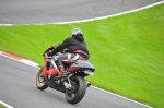 Motorcycle-action-photographs;cadwell;cadwell-park-photographs;event-digital-images;eventdigitalimages;motor-racing-louth-lincolnshire;no-limits-trackday;peter-wileman-photography;trackday;trackday-digital-images;trackday-photos