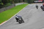 Motorcycle-action-photographs;Trackday-digital-images;brands;brands-hatch-photographs;event-digital-images;eventdigitalimages;motor-racing-london;no-limits-trackday;peter-wileman-photography;trackday;trackday-photos