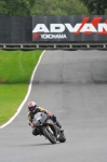 Motorcycle-action-photographs;Trackday-digital-images;brands;brands-hatch-photographs;event-digital-images;eventdigitalimages;motor-racing-london;no-limits-trackday;peter-wileman-photography;trackday;trackday-photos