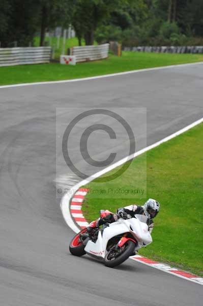 Motorcycle action photographs;Trackday digital images;brands;brands hatch photographs;event digital images;eventdigitalimages;motor racing london;no limits trackday;peter wileman photography;trackday;trackday photos