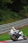 Motorcycle-action-photographs;Trackday-digital-images;brands;brands-hatch-photographs;event-digital-images;eventdigitalimages;motor-racing-london;no-limits-trackday;peter-wileman-photography;trackday;trackday-photos