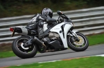 Motorcycle-action-photographs;Trackday-digital-images;brands;brands-hatch-photographs;event-digital-images;eventdigitalimages;motor-racing-london;no-limits-trackday;peter-wileman-photography;trackday;trackday-photos