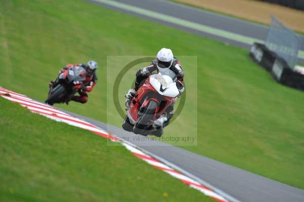 Motorcycle action photographs;Trackday digital images;brands;brands hatch photographs;event digital images;eventdigitalimages;motor racing london;no limits trackday;peter wileman photography;trackday;trackday photos